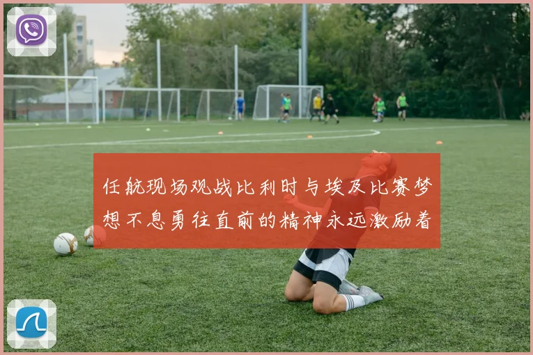 任航现场观战比利时与埃及比赛梦想不息勇往直前的精神永远激励着我们